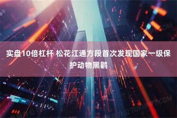 实盘10倍杠杆 松花江通方段首次发现国家一级保护动物黑鹳