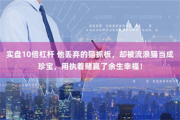实盘10倍杠杆 他丢弃的猫抓板，却被流浪猫当成珍宝，用执着赌赢了余生幸福！