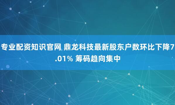 专业配资知识官网 鼎龙科技最新股东户数环比下降7.01% 筹码趋向集中